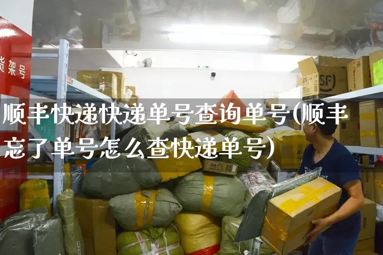 顺丰快递快递单号查询单号(顺丰忘了单号怎么查快递单号)_https://www.senxinmaoyi.com_快递查询_第1张