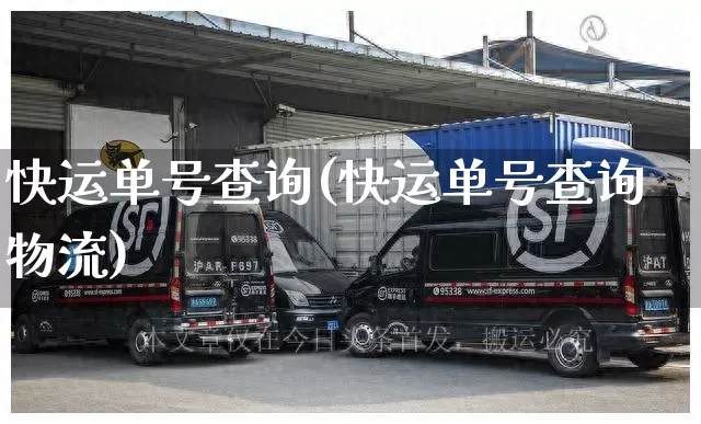 快运单号查询(快运单号查询物流)_https://www.senxinmaoyi.com_邮政编码_第1张