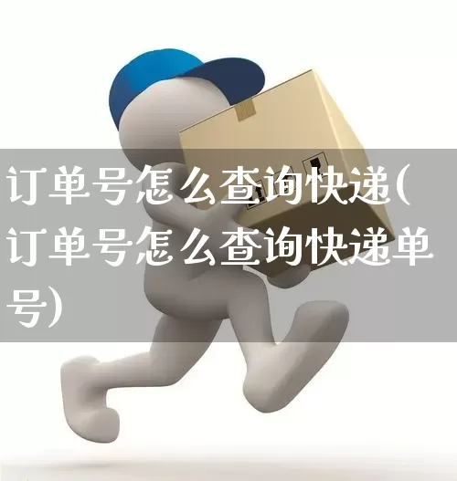 订单号怎么查询快递(订单号怎么查询快递单号)_https://www.senxinmaoyi.com_快递查询_第1张