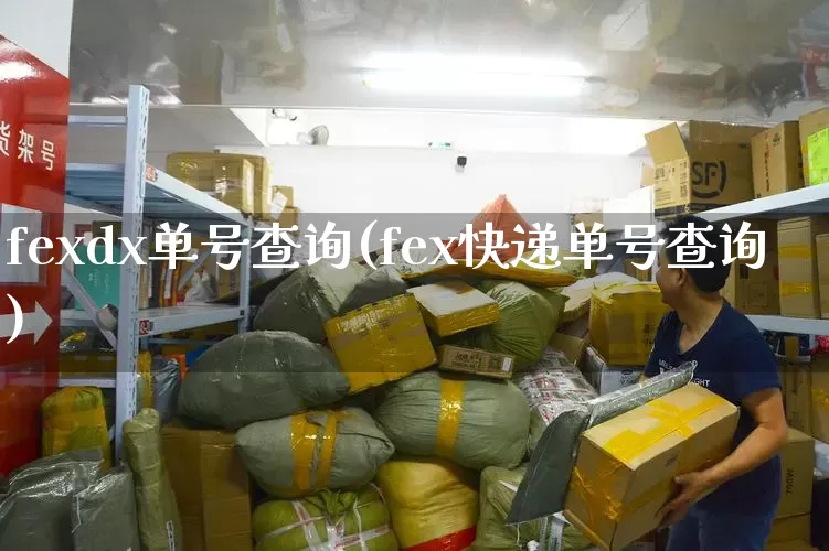 fexdx单号查询(fex快递单号查询)_https://www.senxinmaoyi.com_快递查询_第1张