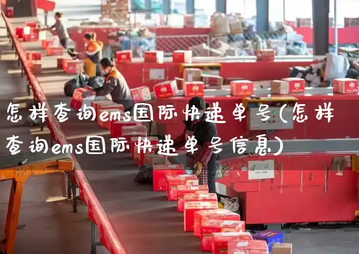 怎样查询ems国际快递单号(怎样查询ems国际快递单号信息)_https://www.senxinmaoyi.com_物流查询_第1张