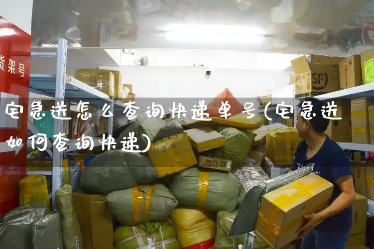 宅急送怎么查询快递单号(宅急送如何查询快递)_https://www.senxinmaoyi.com_物流单号_第1张