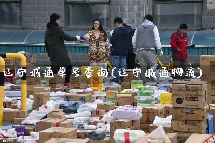 辽宁城通单号查询(辽宁诚通物流)_https://www.senxinmaoyi.com_物流单号_第1张