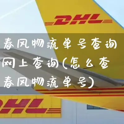 春风物流单号查询网上查询(怎么查春风物流单号)_https://www.senxinmaoyi.com_物流查询_第1张