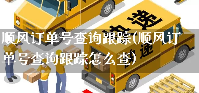 顺风订单号查询跟踪(顺风订单号查询跟踪怎么查)_物流单号_第1张_快递网 顺风订单号查询跟踪(顺风订单号查询跟踪怎么查)_https://www.senxinmaoyi.com_物流单号_第1张