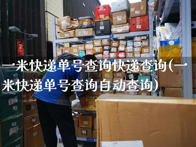 一米快递单号查询快递查询(一米快递单号查询自动查询)_https://www.senxinmaoyi.com_快递查询_第1张
