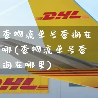 查物流单号查询在哪(查物流单号查询在哪里)_https://www.senxinmaoyi.com_物流查询_第1张