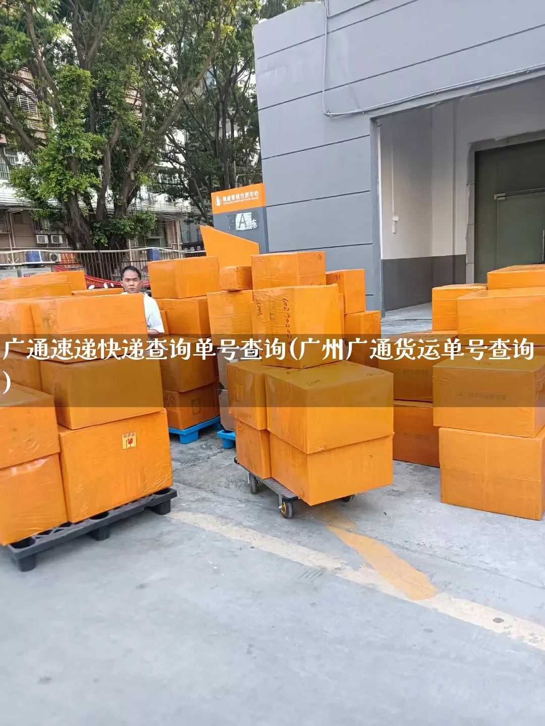 广通速递快递查询单号查询(广州广通货运单号查询)_https://www.senxinmaoyi.com_物流单号_第1张