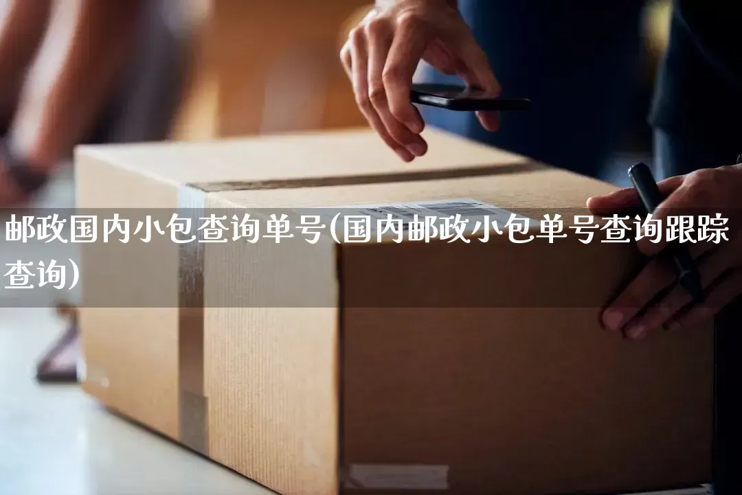 邮政国内小包查询单号(国内邮政小包单号查询跟踪查询)_https://www.senxinmaoyi.com_快递查询_第1张