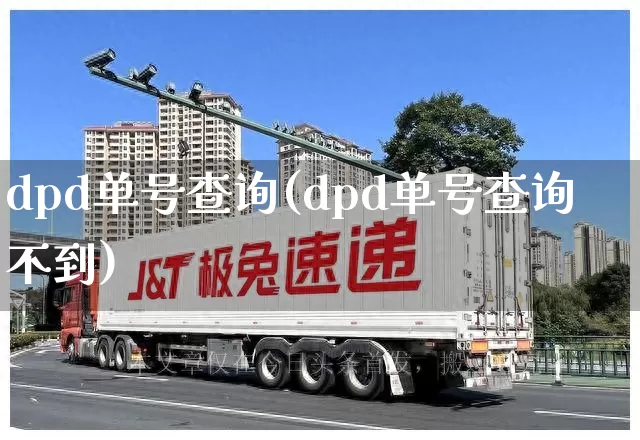 dpd单号查询(dpd单号查询不到)_https://www.senxinmaoyi.com_邮政编码_第1张