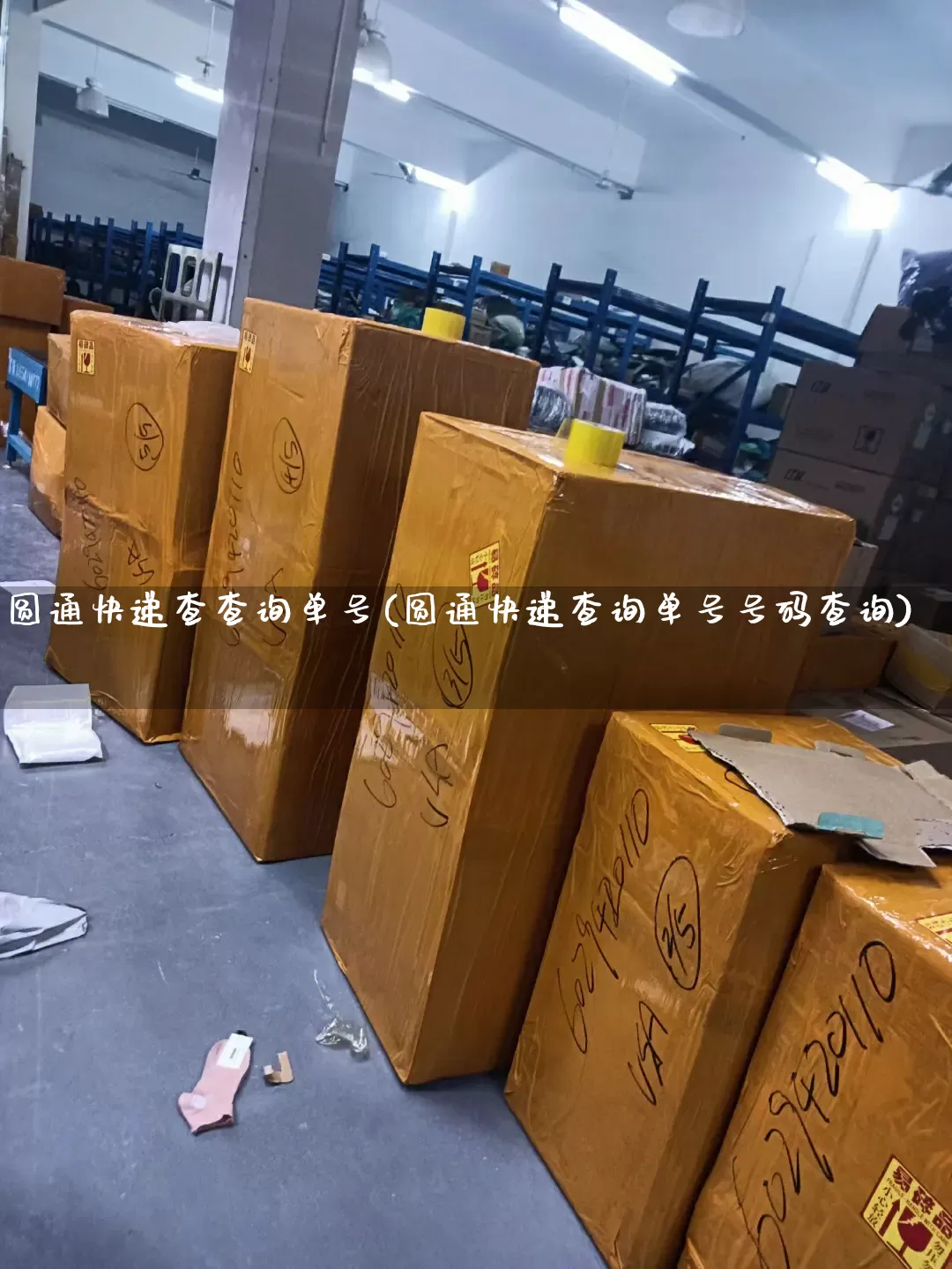 圆通快递查查询单号(圆通快递查询单号号码查询)_https://www.senxinmaoyi.com_物流单号_第1张