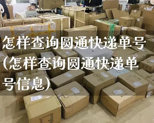 怎样查询圆通快递单号(怎样查询圆通快递单号信息)_https://www.senxinmaoyi.com_物流单号_第1张