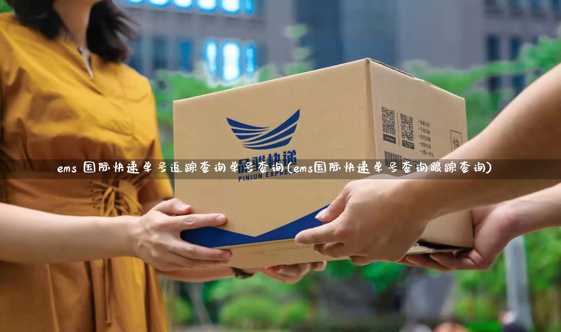 ems 国际快递单号追踪查询单号查询(ems国际快递单号查询跟踪查询)_https://www.senxinmaoyi.com_物流单号_第1张
