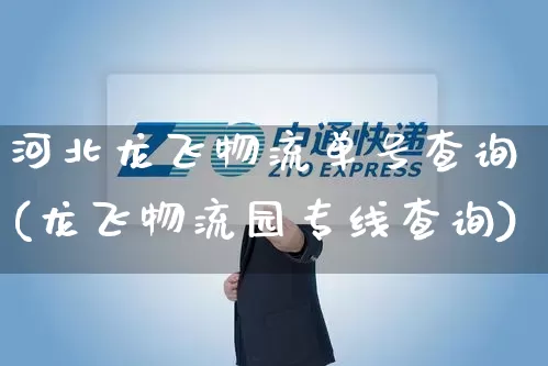 河北龙飞物流单号查询(龙飞物流园专线查询)_https://www.senxinmaoyi.com_物流单号_第1张