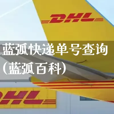 蓝弧快递单号查询(蓝弧百科)_https://www.senxinmaoyi.com_邮政编码_第1张