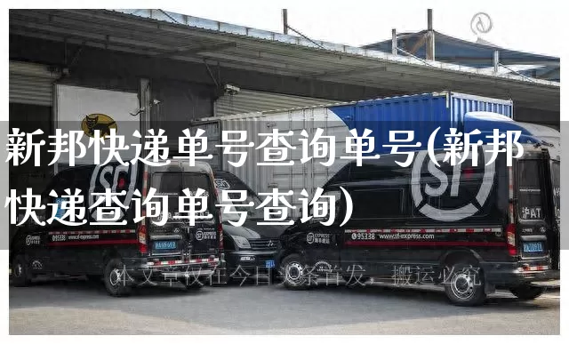 新邦快递单号查询单号(新邦快递查询单号查询)_https://www.senxinmaoyi.com_物流单号_第1张