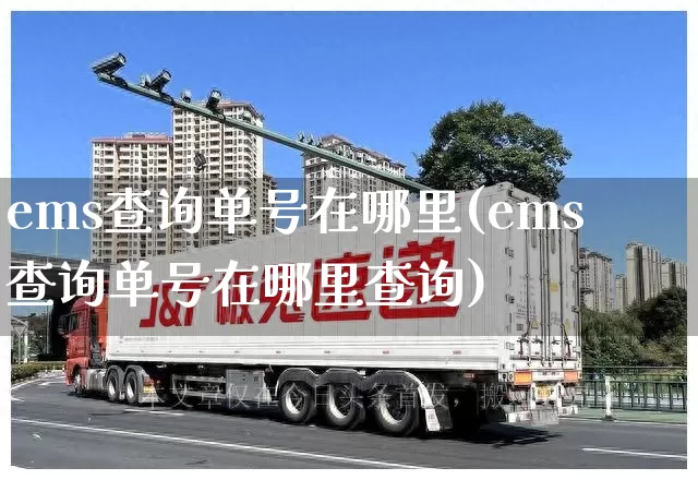 ems查询单号在哪里(ems查询单号在哪里查询)_https://www.senxinmaoyi.com_邮政编码_第1张