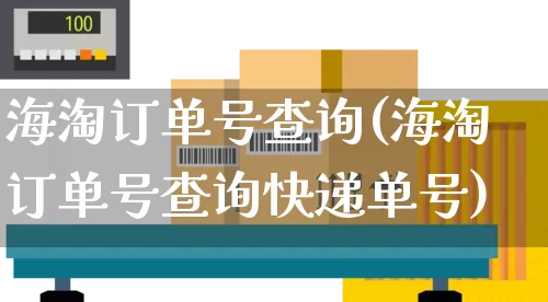 海淘订单号查询(海淘订单号查询快递单号)_https://www.senxinmaoyi.com_快递查询_第1张
