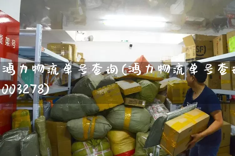 鸿力物流单号查询(鸿力物流单号查询0003278)_https://www.senxinmaoyi.com_快递查询_第1张
