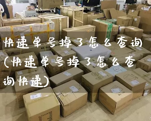 快递单号掉了怎么查询(快递单号掉了怎么查询快递)_https://www.senxinmaoyi.com_快递查询_第1张