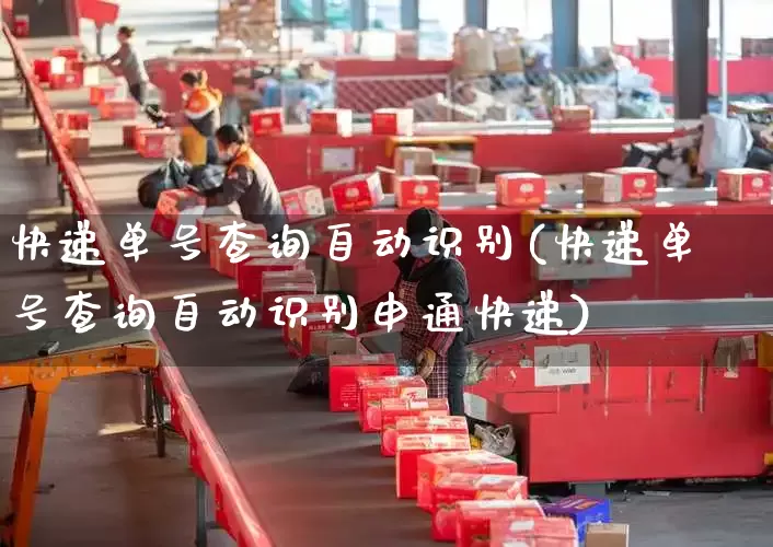 快递单号查询自动识别(快递单号查询自动识别申通快递)_https://www.senxinmaoyi.com_物流单号_第1张
