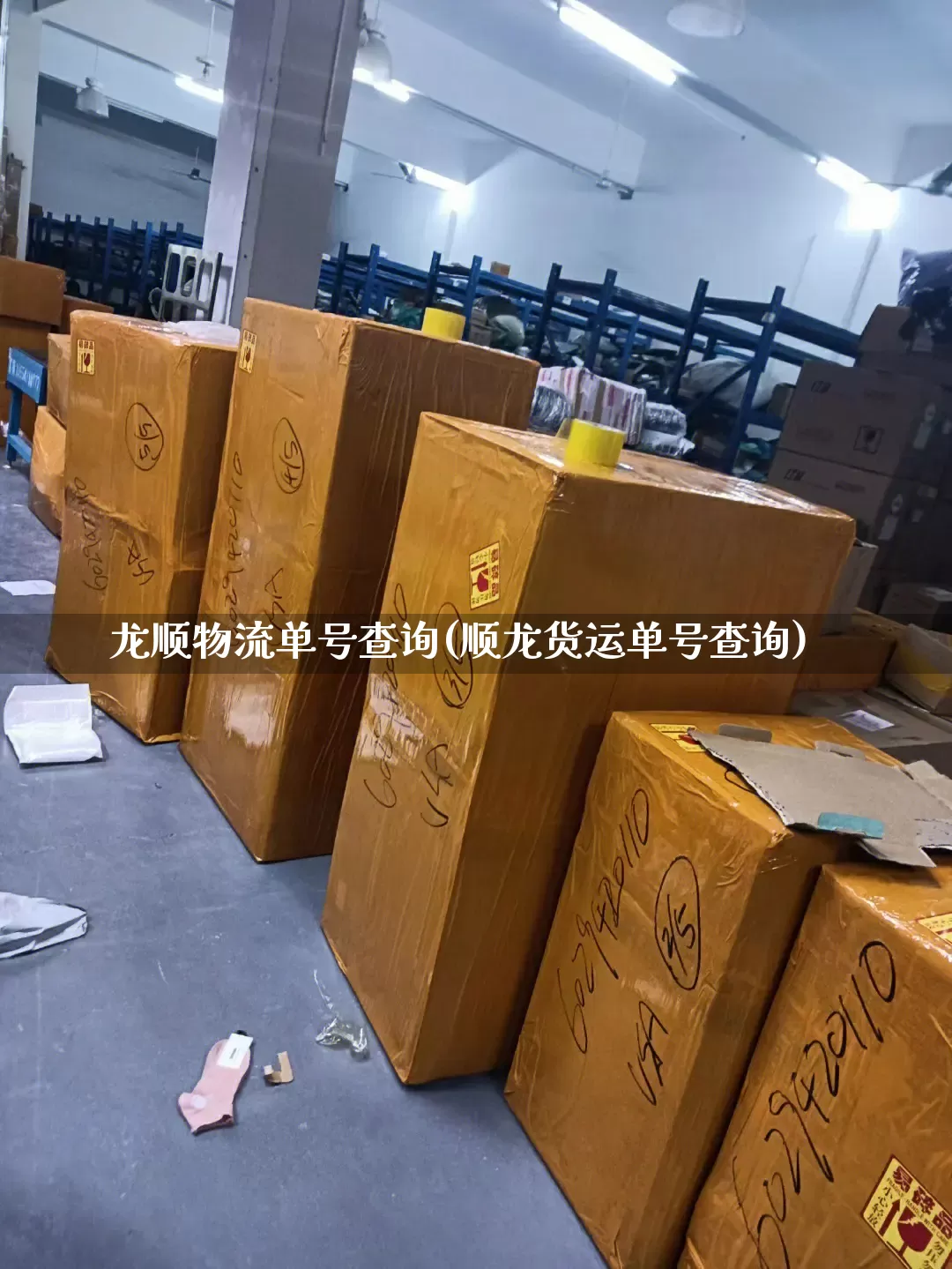龙顺物流单号查询(顺龙货运单号查询)_https://www.senxinmaoyi.com_物流单号_第1张