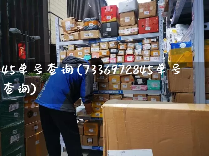 45单号查询(7336972845单号查询)_https://www.senxinmaoyi.com_物流查询_第1张