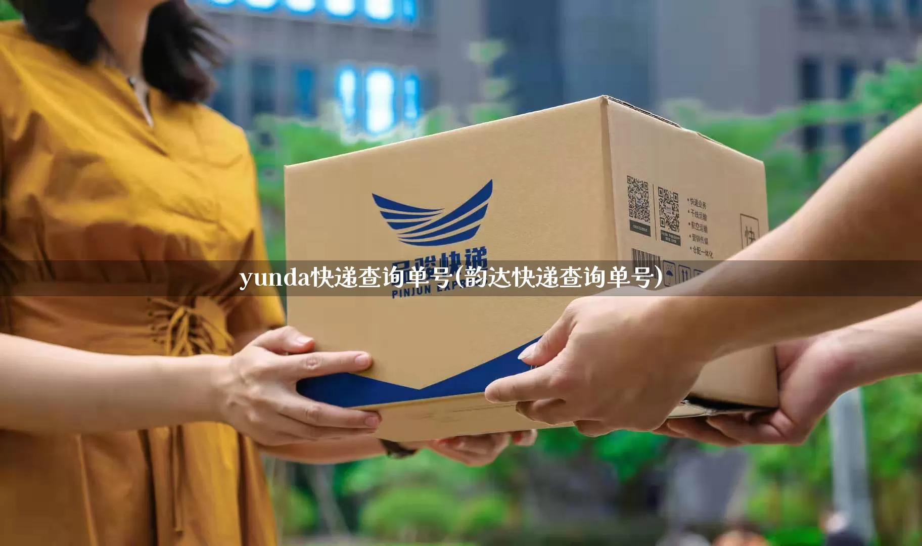 yunda快递查询单号(韵达快递查询单号)_https://www.senxinmaoyi.com_邮政编码_第1张