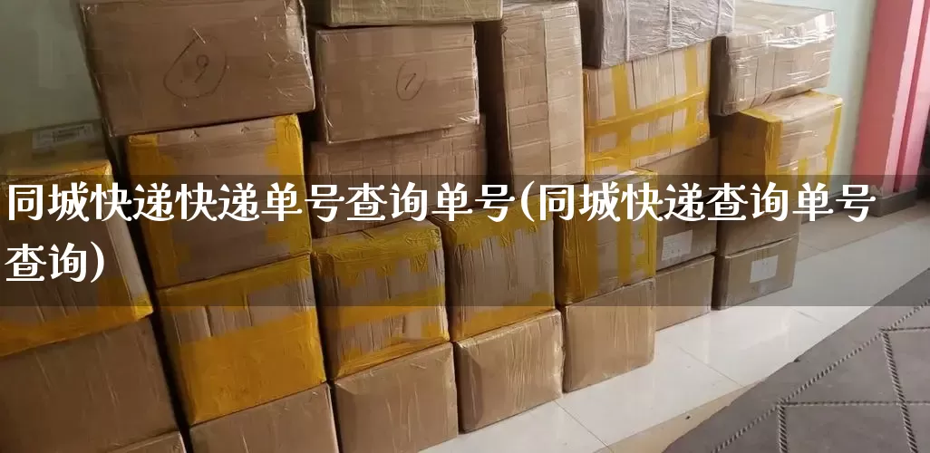 同城快递快递单号查询单号(同城快递查询单号查询)_https://www.senxinmaoyi.com_快递查询_第1张