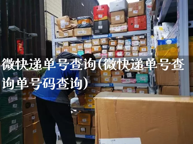 微快递单号查询(微快递单号查询单号码查询)_https://www.senxinmaoyi.com_邮政编码_第1张