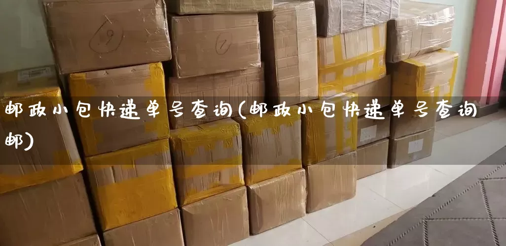 邮政小包快递单号查询(邮政小包快递单号查询邮)_https://www.senxinmaoyi.com_物流单号_第1张