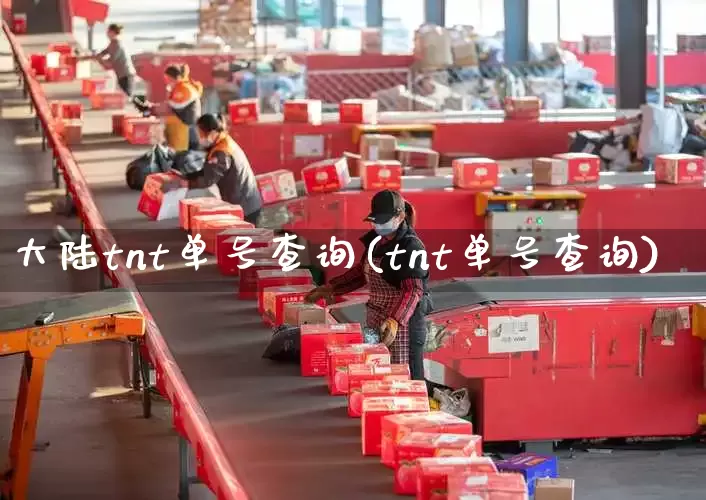 大陆tnt单号查询(tnt单号查询)_https://www.senxinmaoyi.com_物流单号_第1张