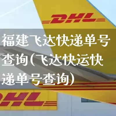 福建飞达快递单号查询(飞达快运快递单号查询)_https://www.senxinmaoyi.com_邮政编码_第1张