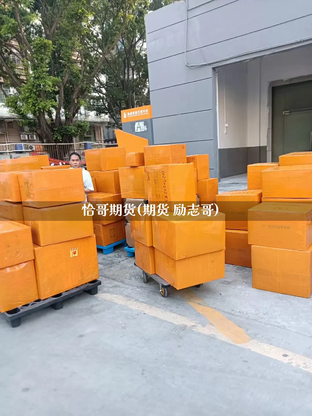恰哥期货(期货 励志哥)_https://www.senxinmaoyi.com_物流查询_第1张