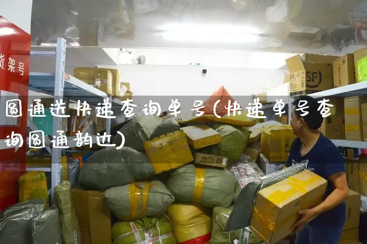 圆通送快递查询单号(快递单号查询圆通韵达)_https://www.senxinmaoyi.com_物流单号_第1张