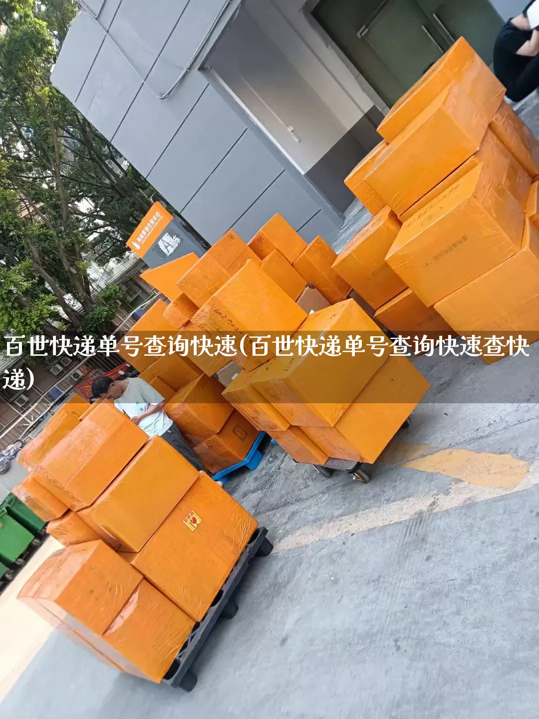 百世快递单号查询快速(百世快递单号查询快速查快递)_https://www.senxinmaoyi.com_物流单号_第1张