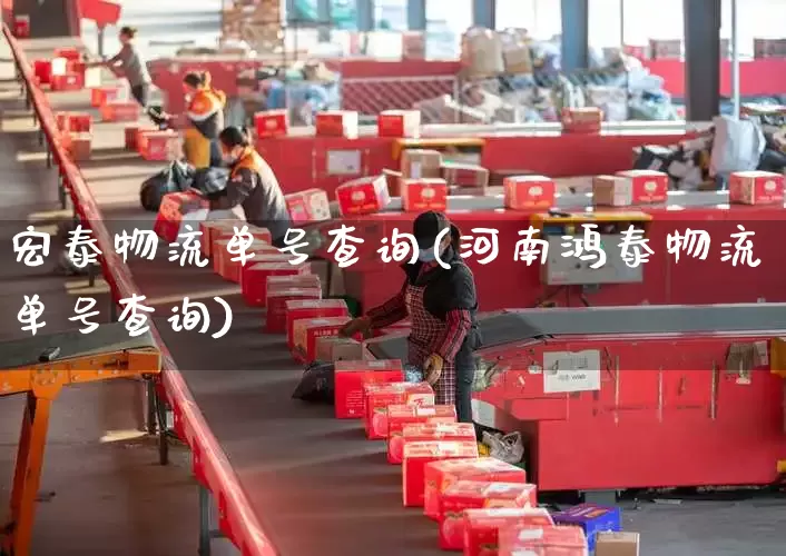 宏泰物流单号查询(河南鸿泰物流单号查询)_https://www.senxinmaoyi.com_物流单号_第1张