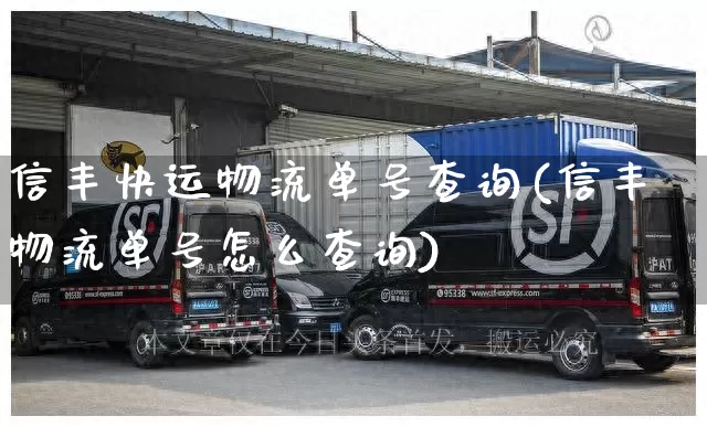 信丰快运物流单号查询(信丰物流单号怎么查询)_https://www.senxinmaoyi.com_邮政编码_第1张