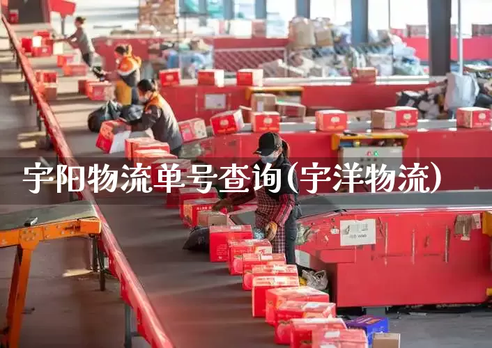 宇阳物流单号查询(宇洋物流)_https://www.senxinmaoyi.com_邮政编码_第1张