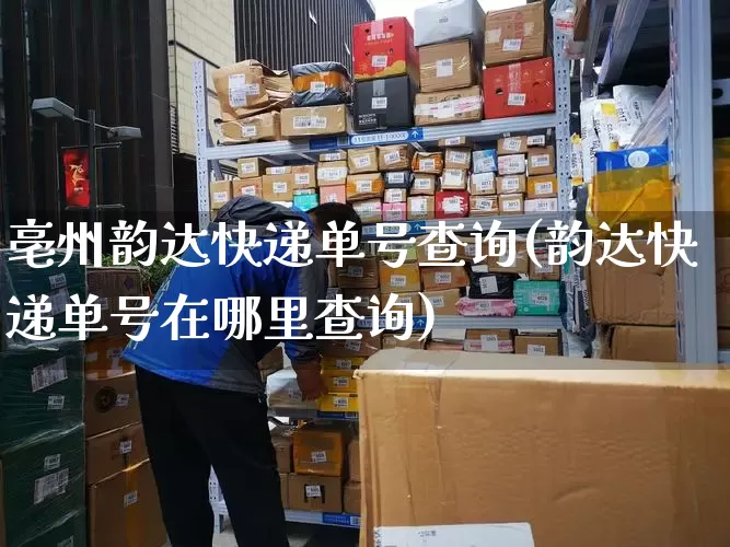 亳州韵达快递单号查询(韵达快递单号在哪里查询)_https://www.senxinmaoyi.com_物流单号_第1张