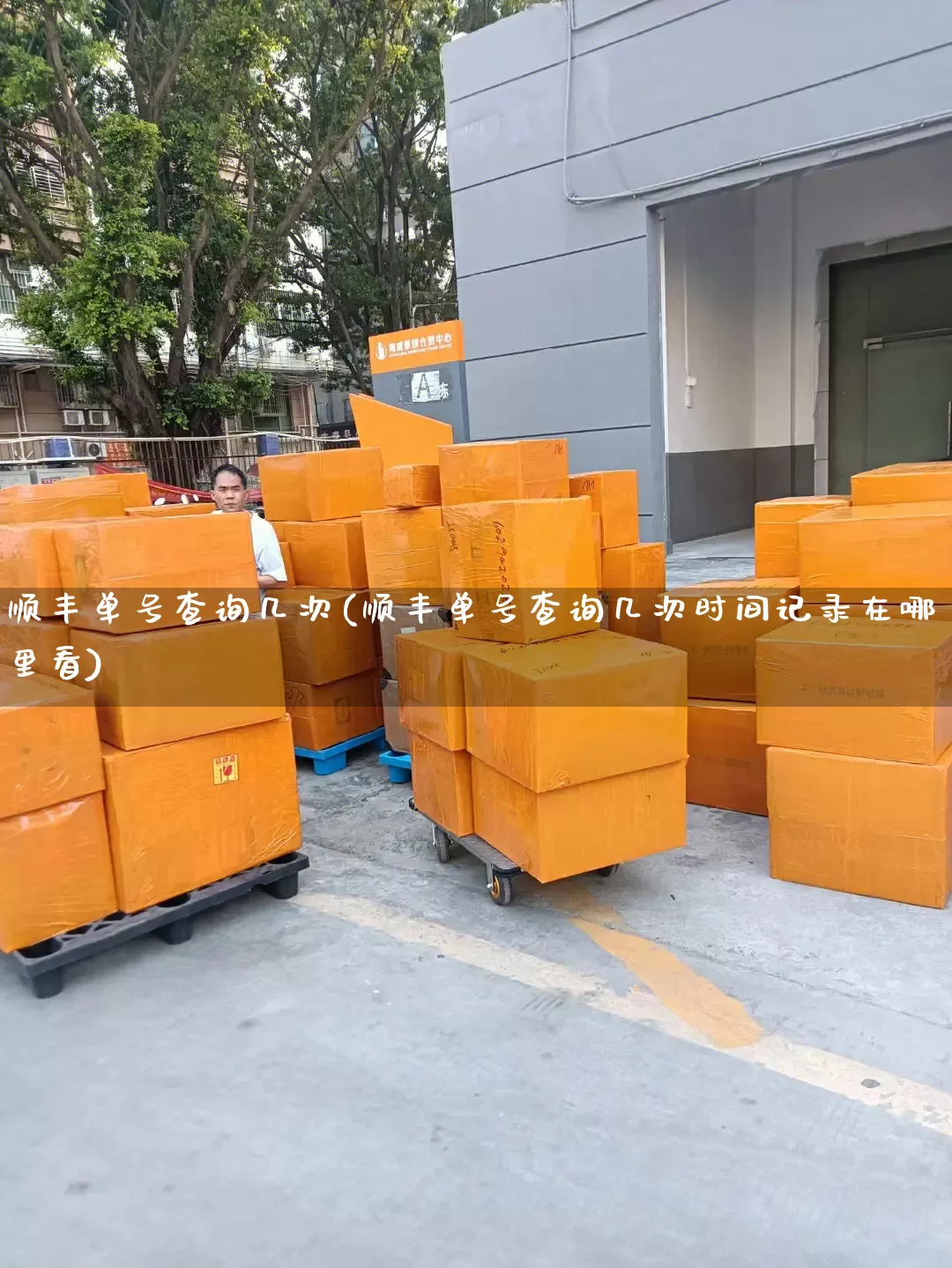 顺丰单号查询几次(顺丰单号查询几次时间记录在哪里看)_https://www.senxinmaoyi.com_快递查询_第1张