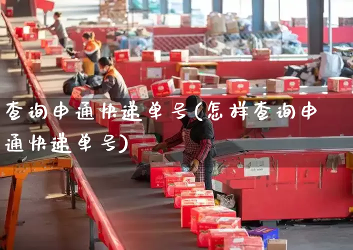 查询申通快递单号(怎样查询申通快递单号)_https://www.senxinmaoyi.com_物流单号_第1张