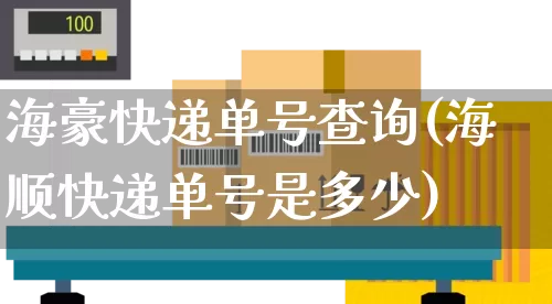 海豪快递单号查询(海顺快递单号是多少)_https://www.senxinmaoyi.com_物流单号_第1张