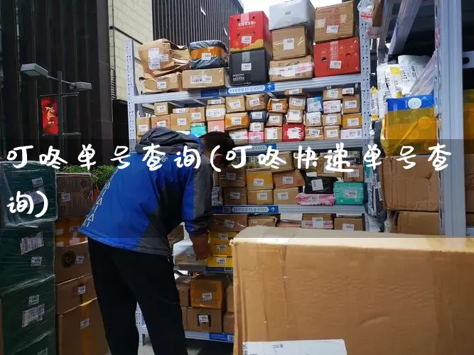 叮咚单号查询(叮咚快递单号查询)_https://www.senxinmaoyi.com_物流查询_第1张