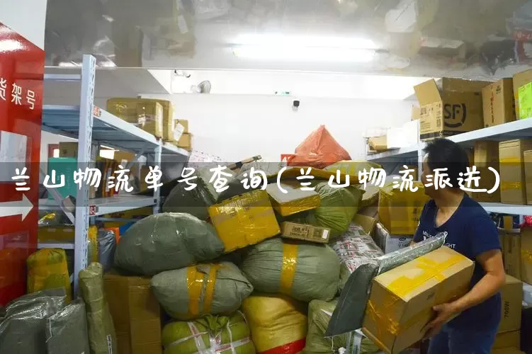 兰山物流单号查询(兰山物流派送)_https://www.senxinmaoyi.com_邮政编码_第1张