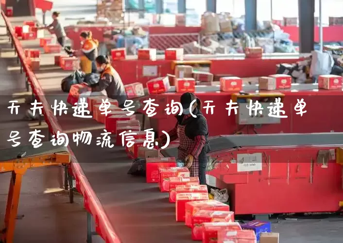天夫快递单号查询(天夫快递单号查询物流信息)_https://www.senxinmaoyi.com_邮政编码_第1张
