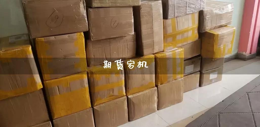 期货宕机_https://www.senxinmaoyi.com_物流单号_第1张