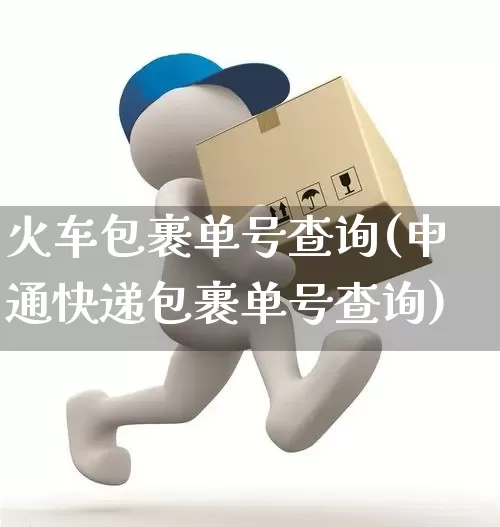火车包裹单号查询(申通快递包裹单号查询)_https://www.senxinmaoyi.com_物流查询_第1张