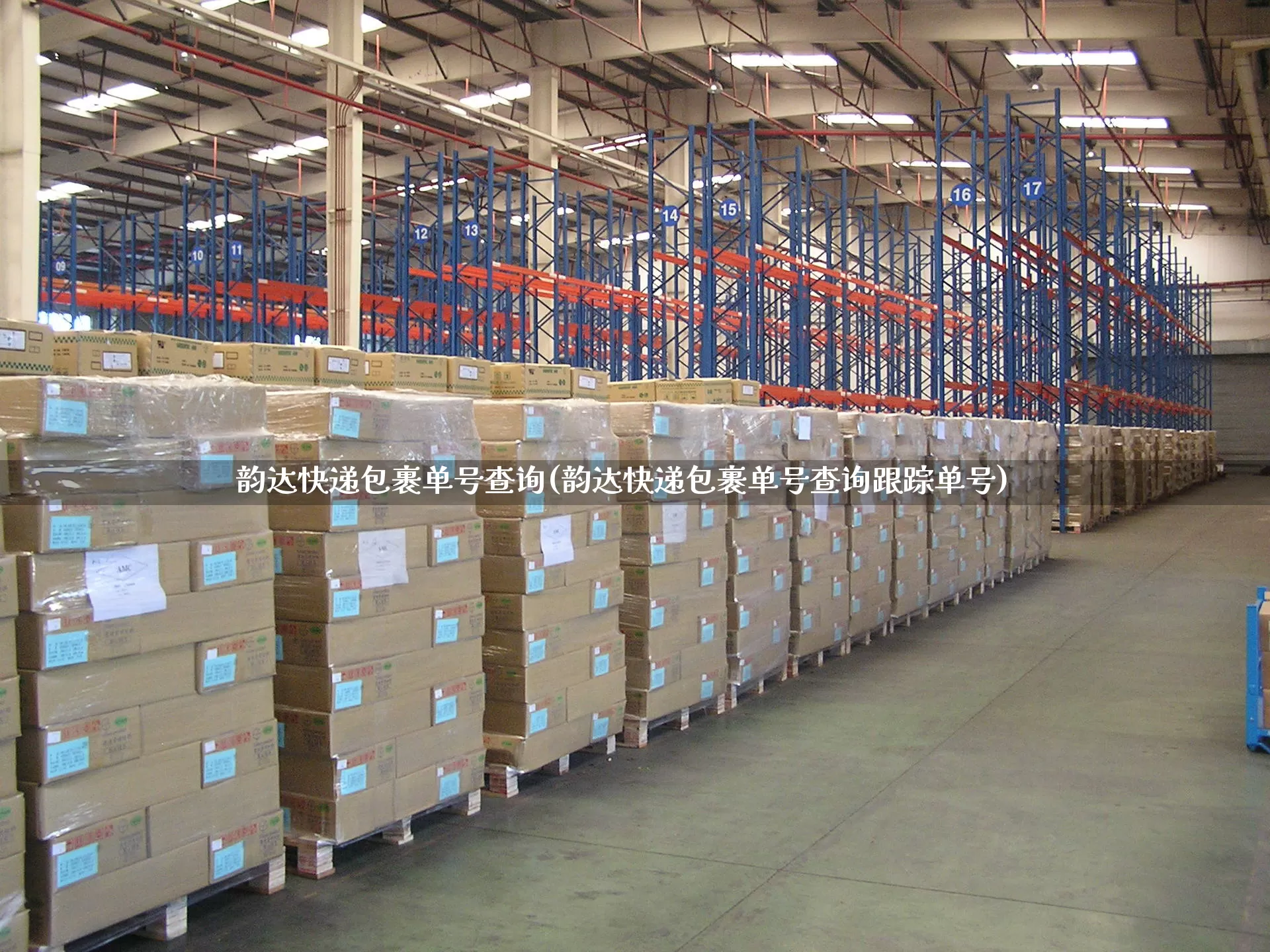 韵达快递包裹单号查询(韵达快递包裹单号查询跟踪单号)_https://www.senxinmaoyi.com_邮政编码_第1张
