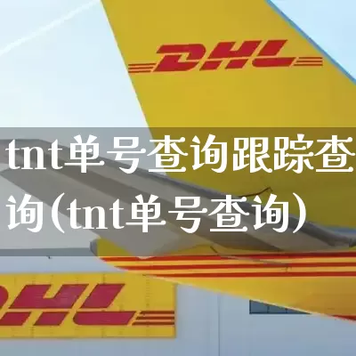 tnt单号查询跟踪查询(tnt单号查询)_https://www.senxinmaoyi.com_快递查询_第1张